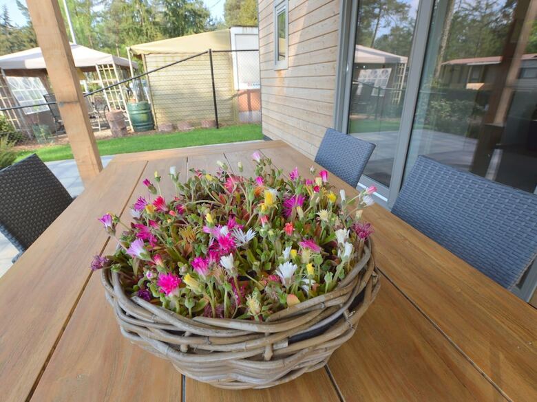 Luxury Chalet At A Child Friendly Park With Many Facilities And Pool