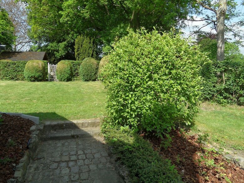 Cozy Cottage In Han-sur-lesse With Forest Near