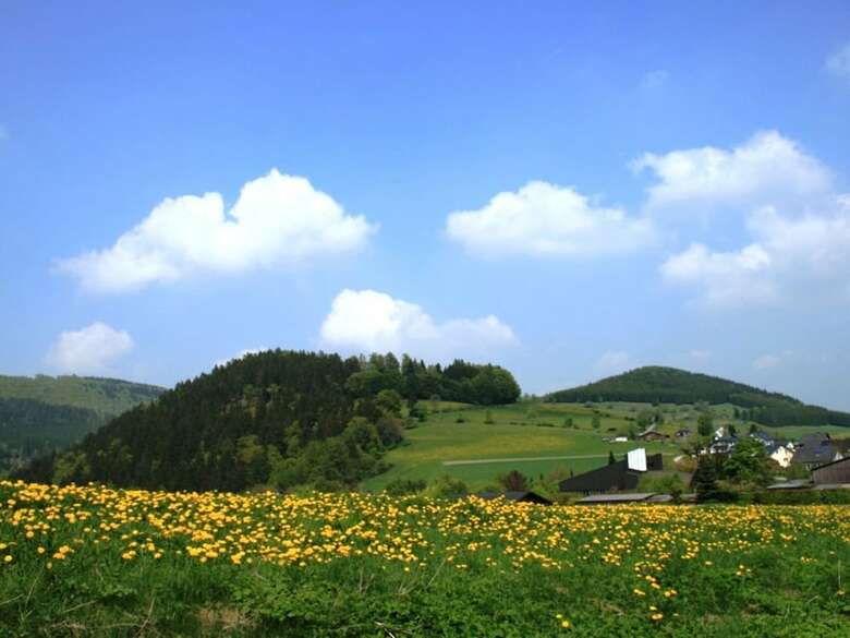 Gorgeous Apartment In Willingen Near Forest
