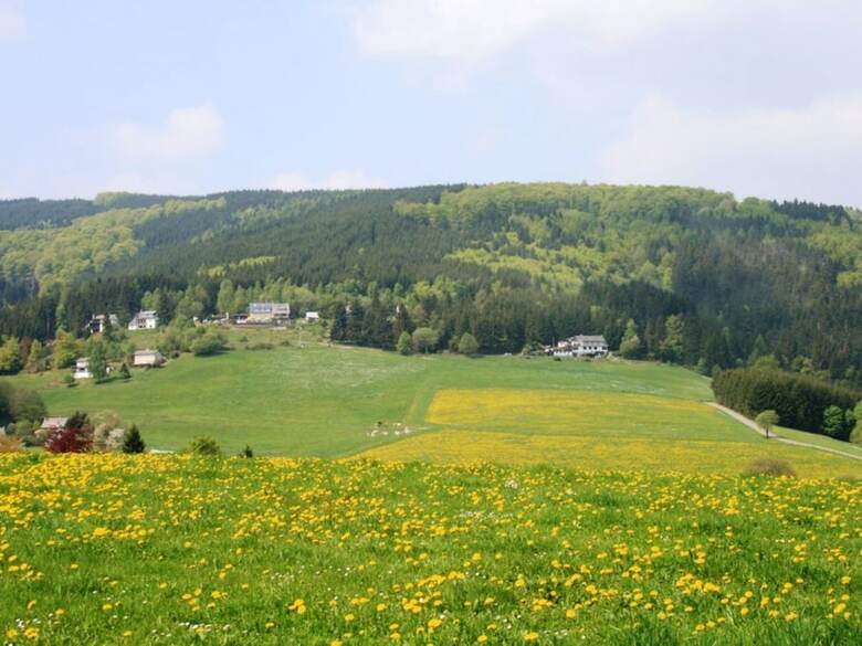 Gorgeous Apartment In Willingen Near Forest