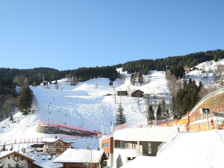 Cozy Apartment On Slopes In Dienten