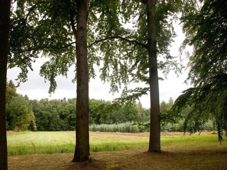 Cozy Apartment In Oelsnitz With Ore Mountains View