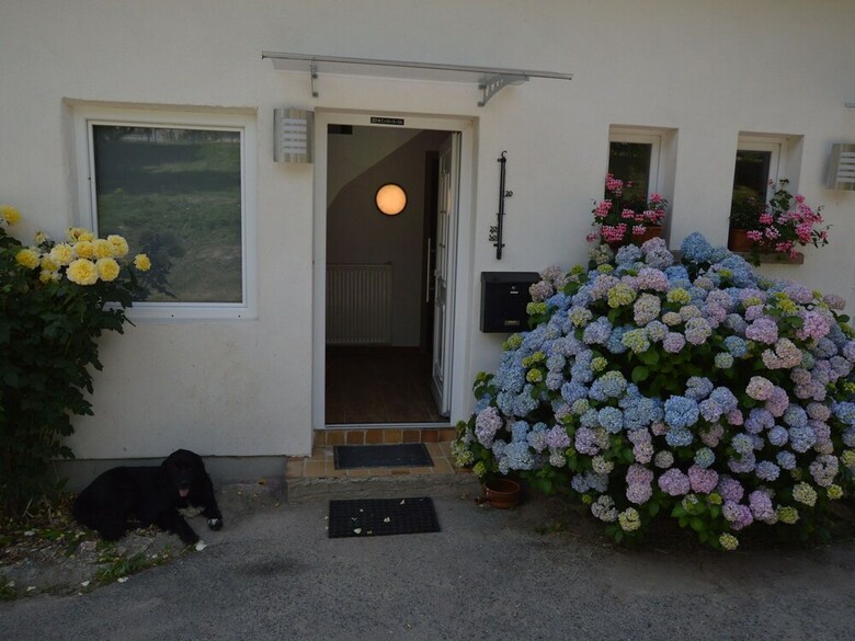 Idyllic Apartment In Hohenstein Near Forest