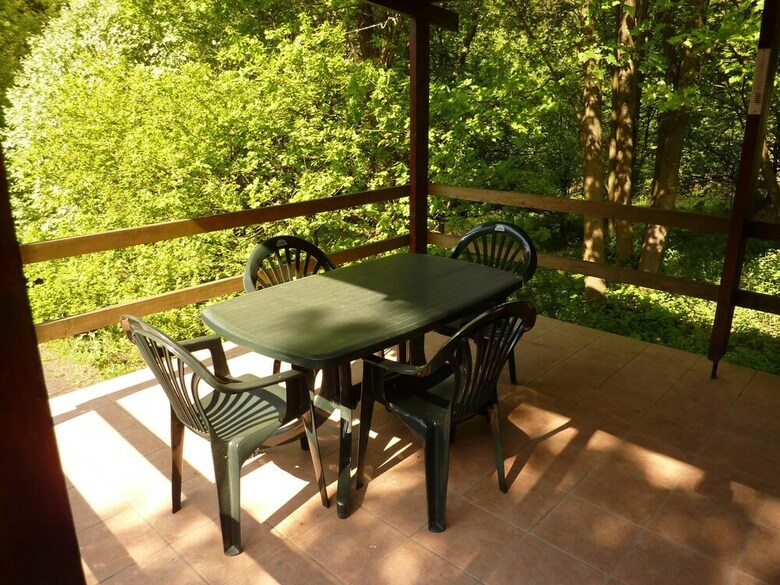 Cozy Chalet In Trois Ponts With Forest Near