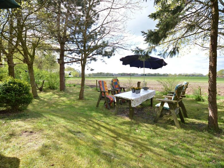 Cozy Cottage With Large Garden In Nature Reserve Dwingelderveld
