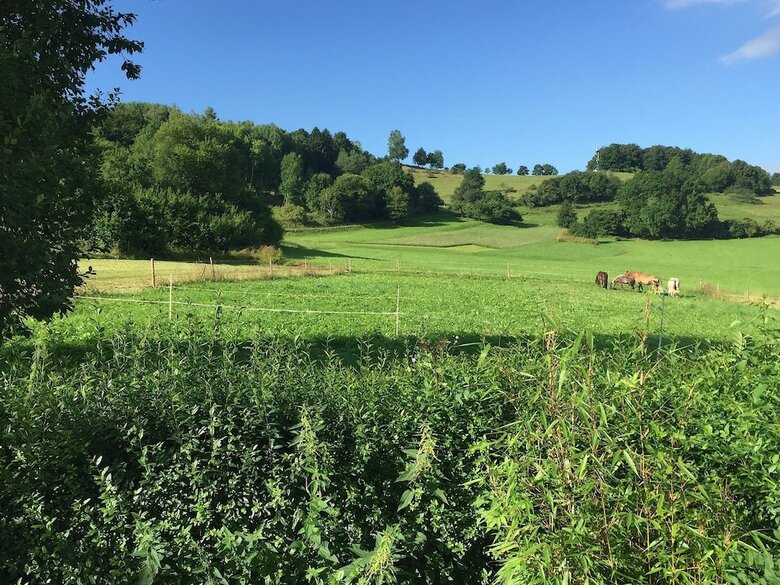 Large Apartment In The Thuringian Forest - Quiet With A Fantastic View