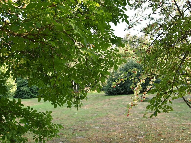 Apartment In Regen With Terrace, Garden, Bbq, Pool, Hammock