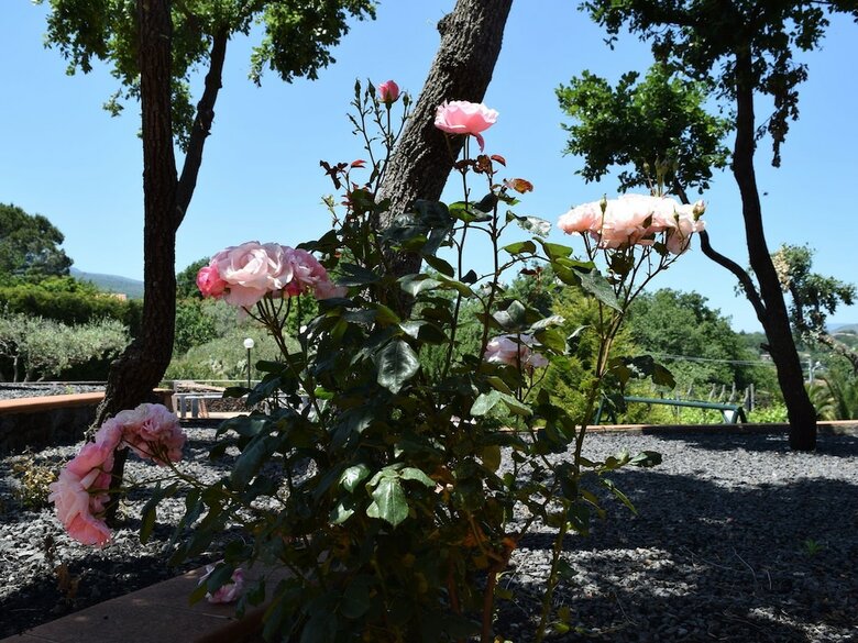 Charming Holiday Home In Piedimonte Etneo With Pool