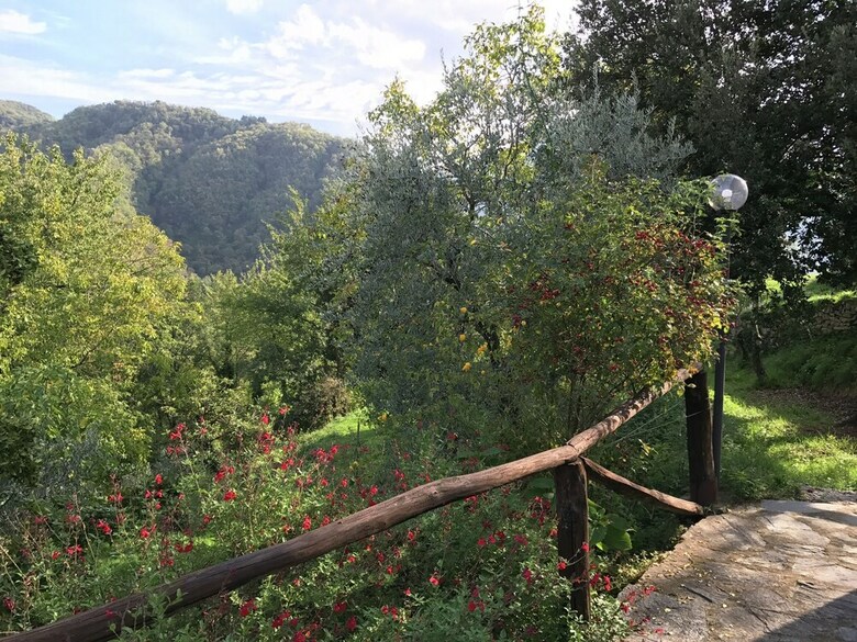 Splendid Cottage In Vergemoli With Barbecue And Garden