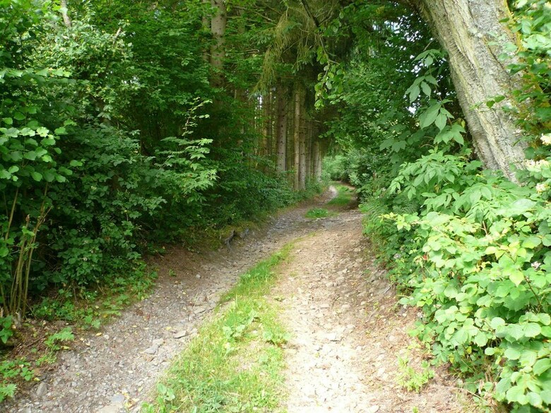 Luring Holiday Home In Lierneux With Garden
