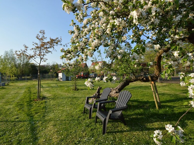 Holiday Home In Bergen Op Zoom With Garden