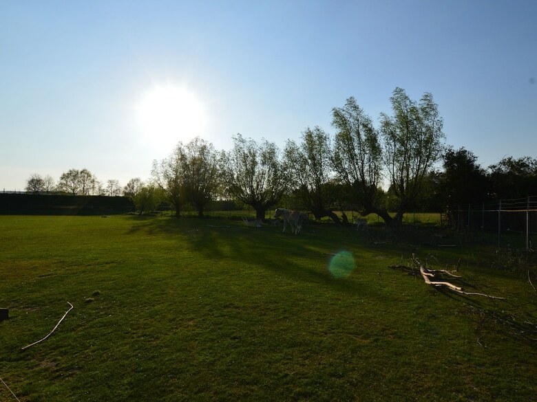 Holiday Home In Bergen Op Zoom With Garden