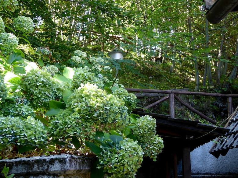 Spacious Chalet In Cutigliano With Swimming Pool