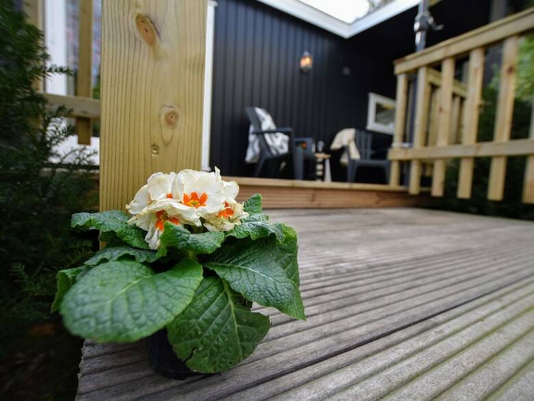 Tasteful Chalet With Veranda In The Veluwe