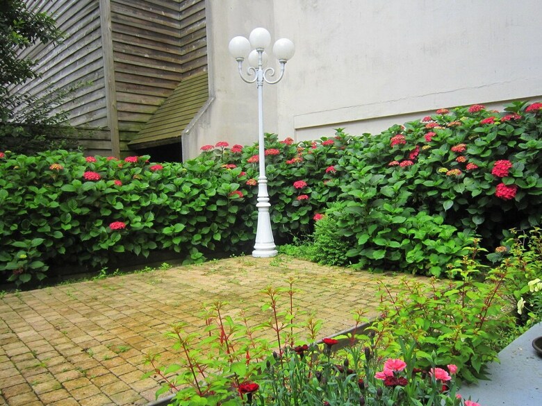 Cosy Apartment In Honfleur With A Private Garden