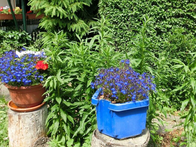 Gorgeous Holiday Home In Cattenstedt Harz With Terrace