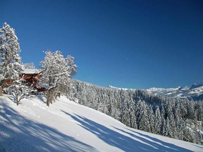Spacious Apartment With Mountain View In Brixen Im Thale