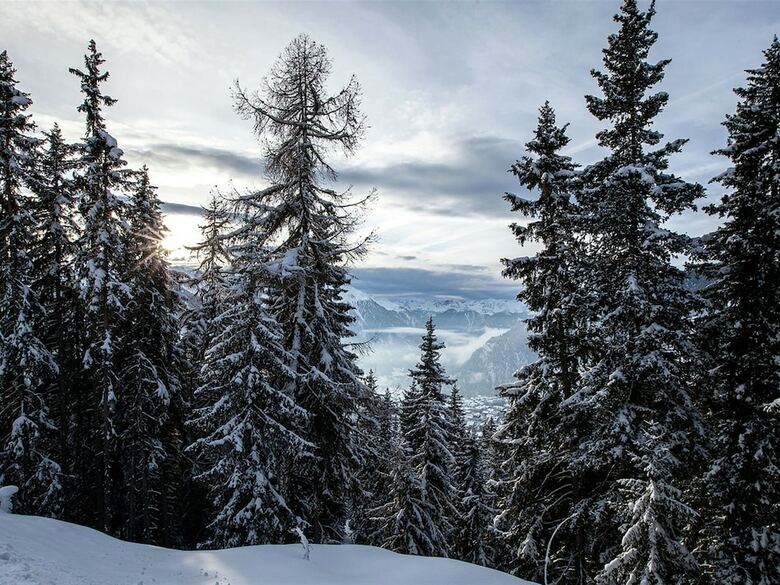 Very Open Chalet With Comfortable And Rustic D�cor