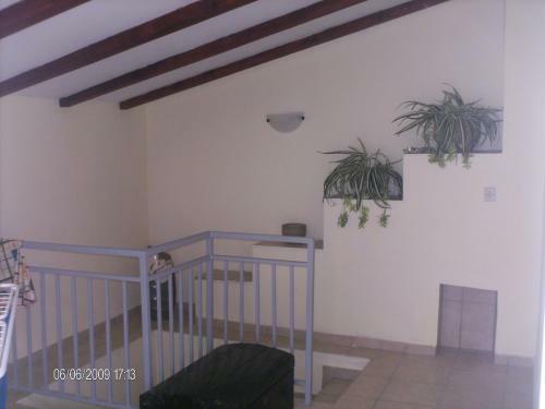 Apartments Kleo