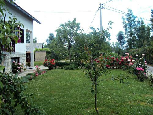 Apartments Ivona