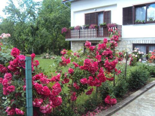 Apartments Ivona