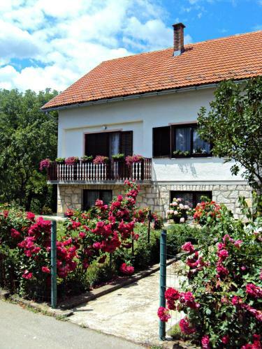 Apartments Ivona