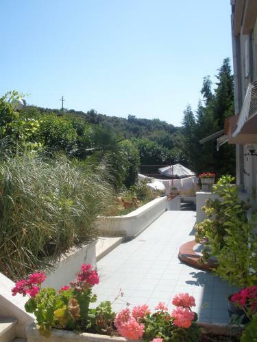Hostal Pansion Manuela