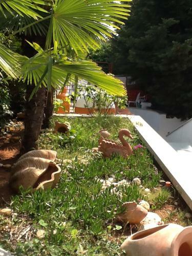 Hostal Pansion Manuela
