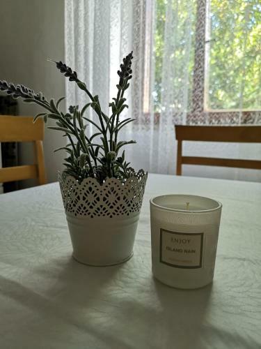 Apartment Kalavojna