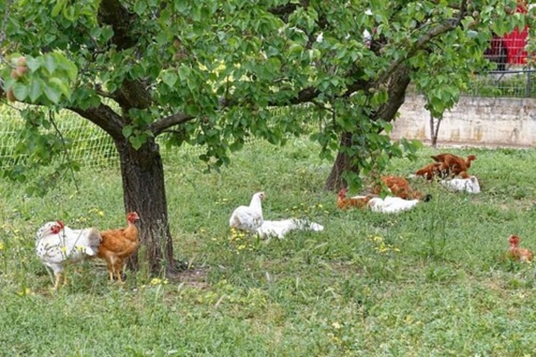 Bed & Breakfast L'�ben