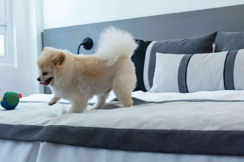 Hotel Ibis Styles Buenos Aires Florida