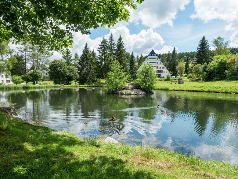Charming Apartment In Sch�nwald Im Schwarzwald With Sauna
