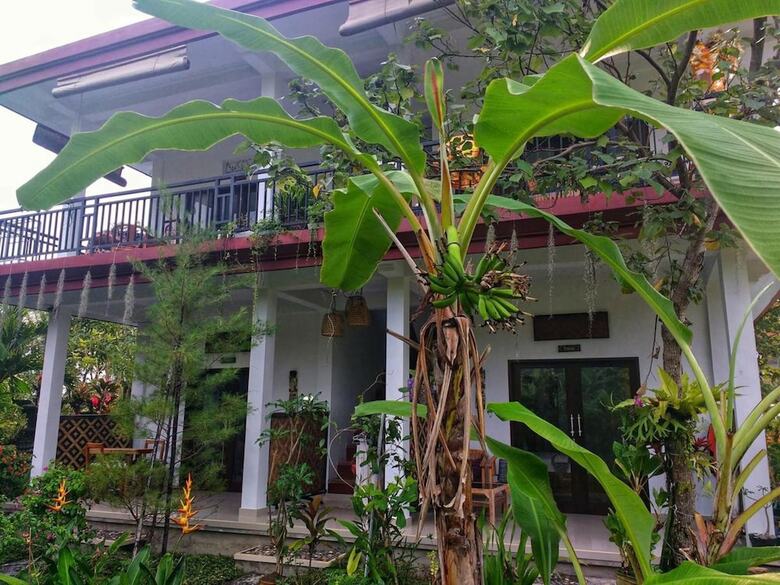 Hotel Molecha Guest House