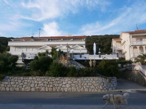 Hostal Guest House Galeb
