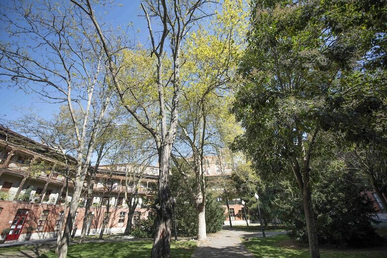 Apartamento Espacios Blanco Plaza Del Viejo Coso