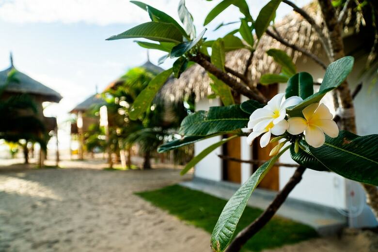 Apartamento Whisky Point Resort