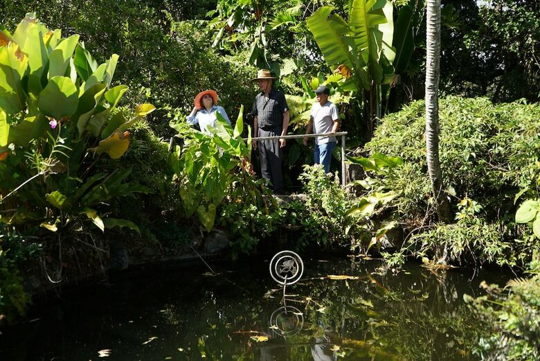 Hotel Jardin Encantado Resort And Park