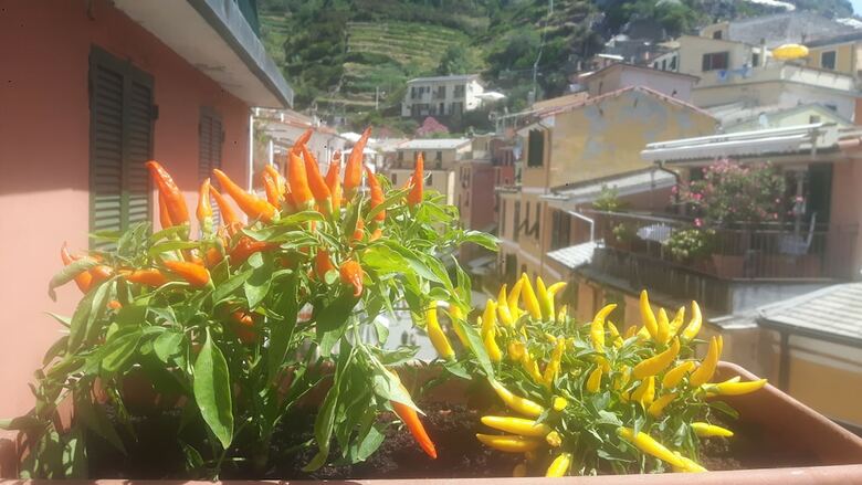 Apartamento Diara La Casa A Colori With Balcony