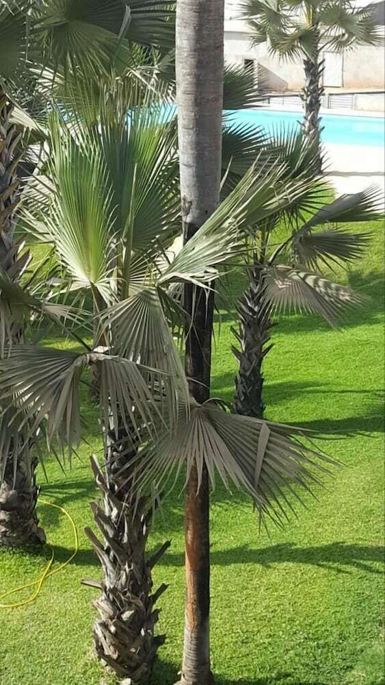 Relax Luxury Ocean View Apartment - Adults Only