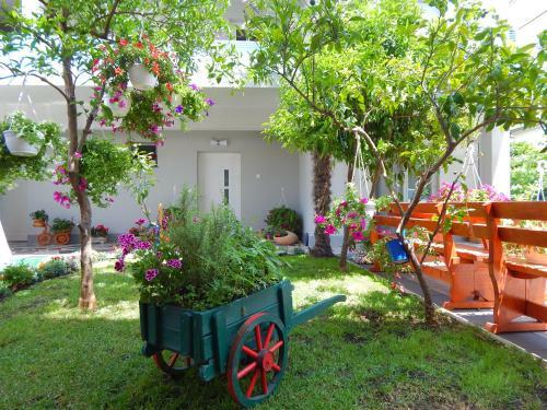 Apartments & Rooms Marinka