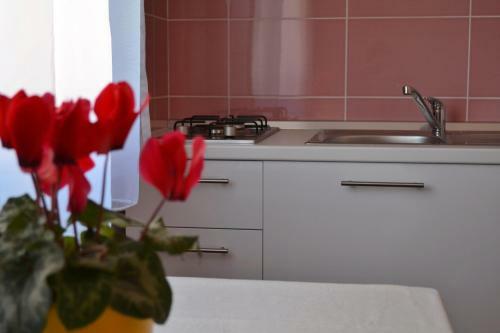 Apartments Vitez
