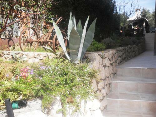 Apartamentos Villa Maslina