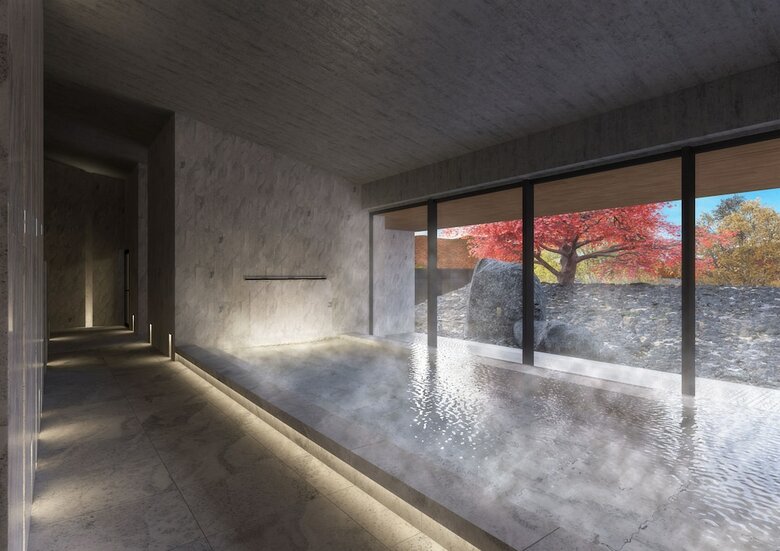 Hotel The Ritz-carlton, Nikko