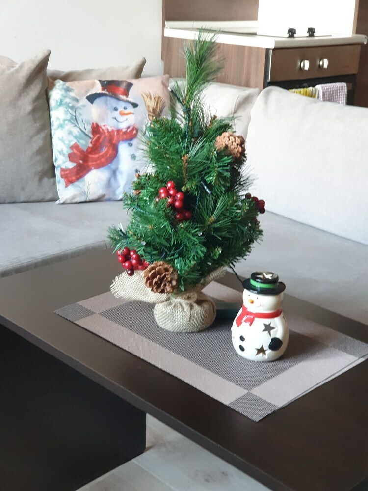 Royal Bansko Aparthotel 206d