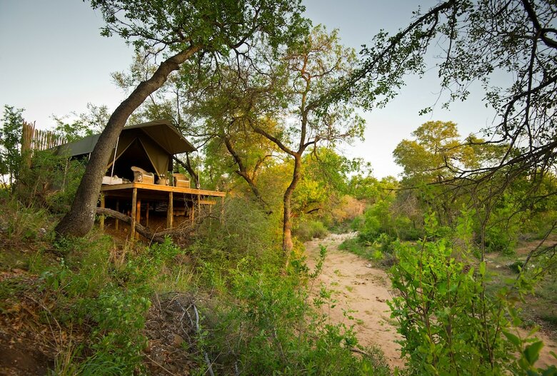Klaserie Sands Safari Trails