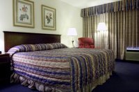 Hotel Best Western At O'hare