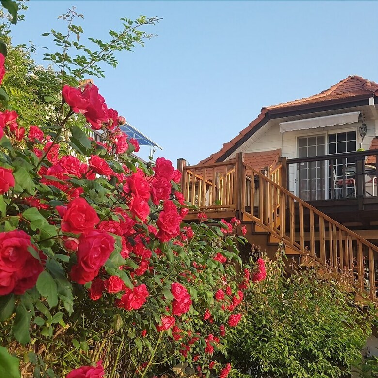 Namhae German Village Frankfurt Story