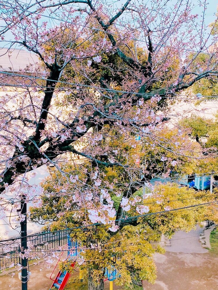Apartamentos Kaike Sendagaya