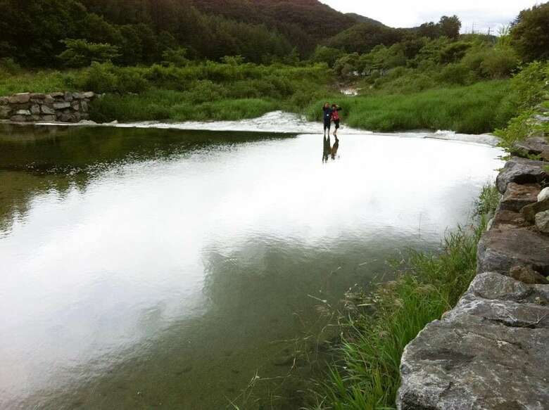 Pension Gold River Castle