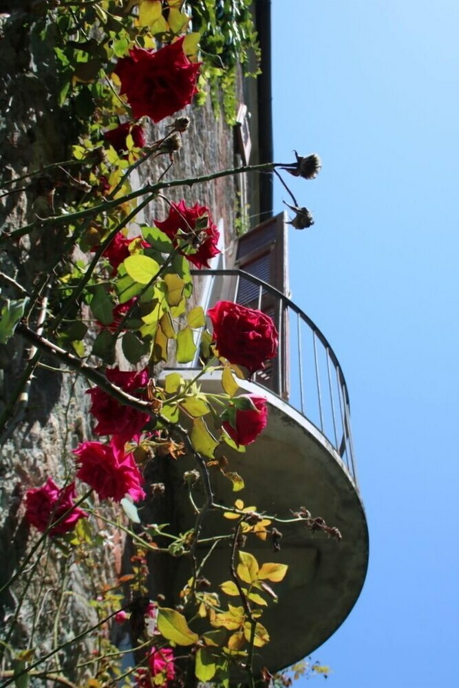 Villa Clematis